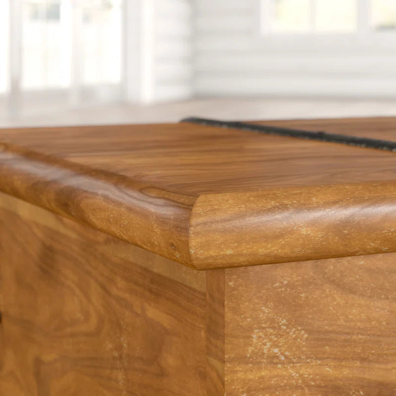 Solid Wood Chest Coffee Table with Storage, Rustic Acacia Trunk Design